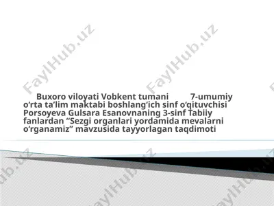 sezgi organlari yordamida mevalarni o‘rganamiz — PPTX