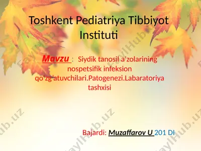 siydik-tanosil a'zolari mikoplazmozi haqida umumiy malumot — PPTX
