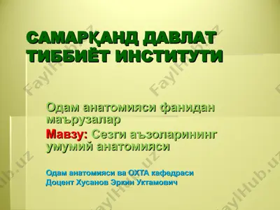 самарқанд давлат тиббиёт институти — PPT