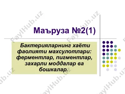 bakteriyalar evolyutsiyasi va faoliyati — PPT