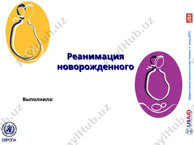 реанимация новорожденного — PPT