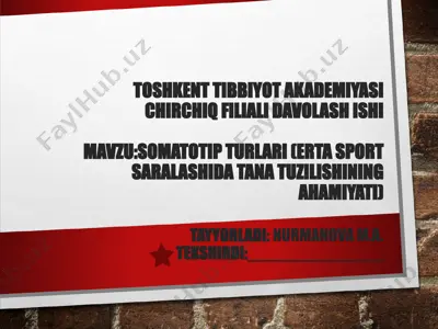 somatotip turlari — PPT