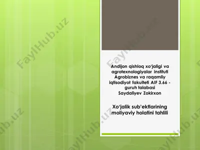 xo‘jalik yurituvchi sub’ektlarning moliyaviy resurslari va kapitali tahlili — PDF