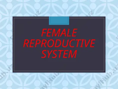 female reproductive system — PPT