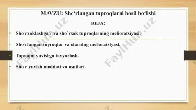 sho'rlangan tuproqlarni hosil bo'lishi — PPTX