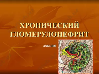 хронический гломерулонефрит — PPT