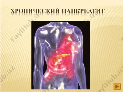 клиническая анатомия и физиология поджелудочной железы — PPT