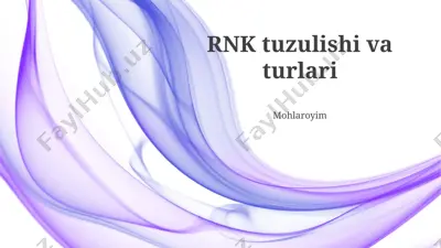 rnk tuzulishi va turlari — PPTX