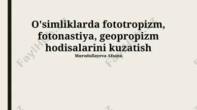 o'simliklarda fototropizm, fotonastiya, geopropizm hodisalarini kuzatish — PPTX