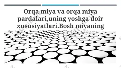 orqa miya va miya pardalari — PPTX