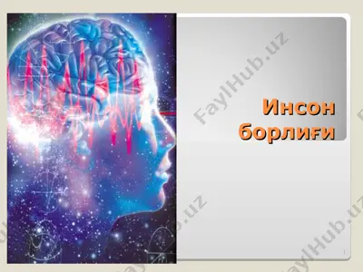 инсон борлиғи — PPT