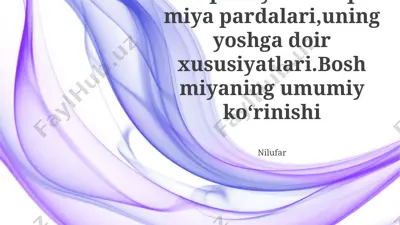 orqa miya va orqa miya pardalari, uning yoshga doir xususiyatlari — PPTX