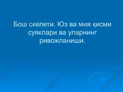 bo'sh skleti. yuz va miya qismi suyaklari va ularning rivojlanishi — PPTX