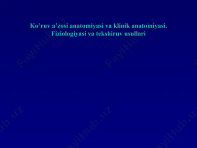 ko’ruv a’zosi anatomiyasi va klinik anatomiyasi. fiziologiyasi va tekshiruv usullari — PPTX