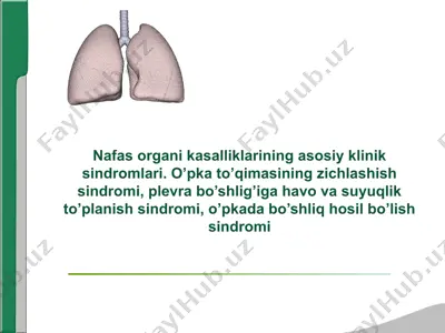 nafas organi kasalliklarining asosiy klinik sindromlari — PPTX