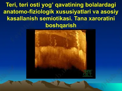 teri, teri osti yogʼ qavatining bolalardagi anatomo-fiziologik xususiyatlari va asosiy kasallanish semiotikasi. tana xaroratini boshqarish — PPTX
