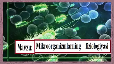 mikroorganizmlarning oziqlanishi — PPTX