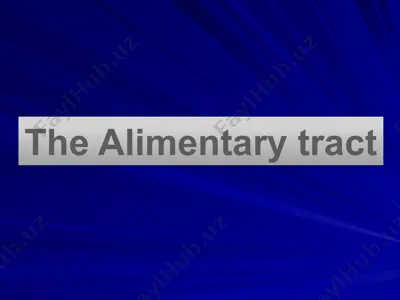the alimentary tract — PPTX