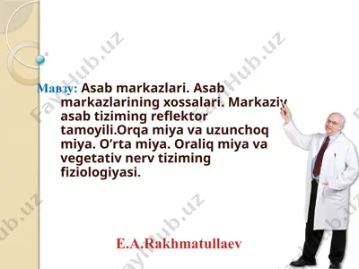 аsab markazlari. аsab markazlarining xossalari — PPTX