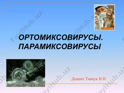 ортомиксовирус, парамиксовирус — PPTX