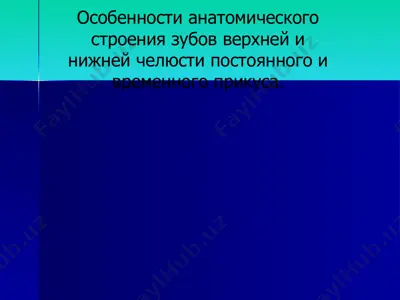 особенности анатомического строения зубов верхней и нижней челюсти постоянного и временного прикуса — PPTX