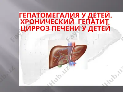 гепатомегалия у детей. хронический гепатит цирроз печени у детей — PPT