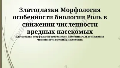 златоглазки — PPTX