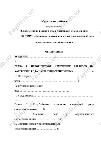 возможности расширенного изучения категорий рода и числа имени существительного — DOC
