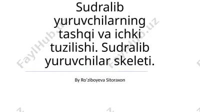 sudralib yuruvchilarning tashqi va ichki tuzilishi — PPTX