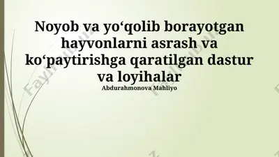 noyob va yoʻqolib borayotgan hayvonlarni asrash va koʻpaytirishga qaratilgan dastur va loyihalar — PPTX