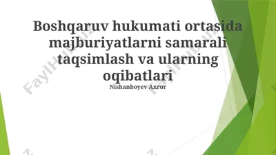 boshqaruv hukumati ortasida majburiyatlarni samarali taqsimlash va ularning oqibatlari — PPTX