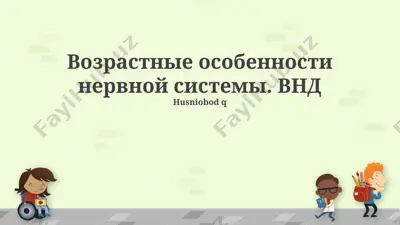 возрастные особенности нервной системы. внд — PPTX