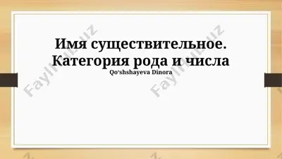имя существительное. категория рода и числа — PPTX