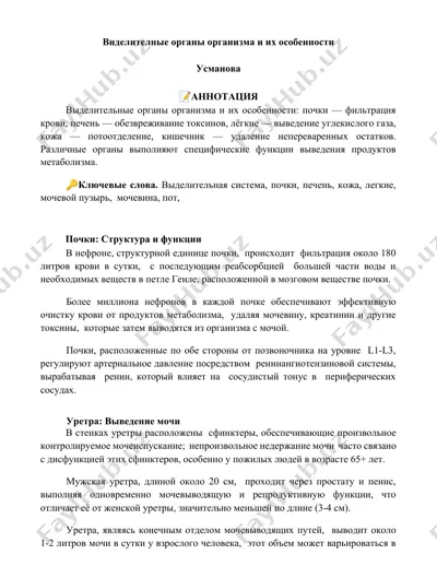 почки: структура и функции — DOCX