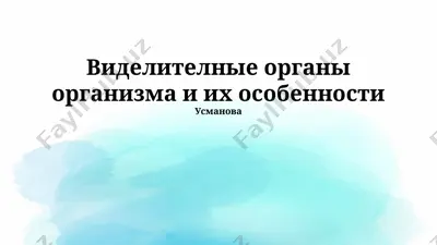 выделительные органы организма и их особенности — PPTX