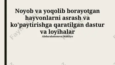 noyob va yoqolib borayotgan hayvonlarni asrash va ko'paytirishga qaratilgan dastur va loyihalar — PPTX