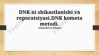 dnk ni shikastlanishi va reporatsiyasi — PPTX
