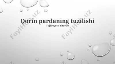 qorin pardaning tuzilishi — PPTX