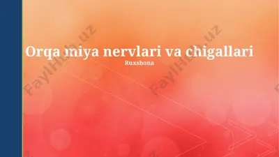 orqa miya nervlari va chigallari — PPTX