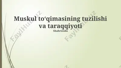 muskul to‘qimasining tuzilishi va taraqqiyoti — PPTX