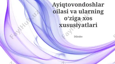 ayiqtovondoshlar oilasi va ularning o‘ziga xos xususiyatlari — PPTX