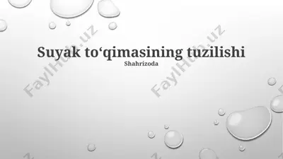 suyak to‘qimasining tuzilishi — PPTX