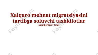 xalqaro mehnat migratsiyasini tartibga soluvchi tashkilotlar — PPTX