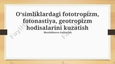 oʻsimliklardagi fototropizm, fotonastiya, geotropizm hodisalarini kuzatish — PPTX