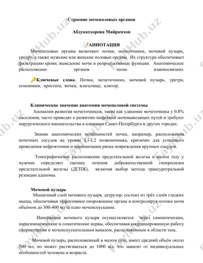 строение мочеполовых органов — DOCX
