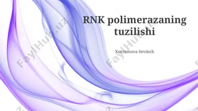rnk polimerazaning tuzilishi — PPTX