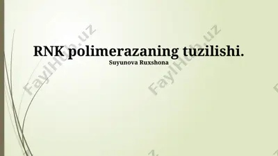 rnk polimerazaning tuzilishi — PPTX