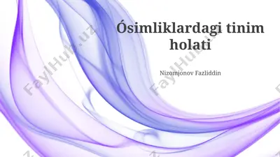 o'simliklardagi tinim holati — PPTX