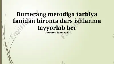 bumerang metodiga tarbiya fanidan bironta dars ishlanma tayyorlab ber — PPTX