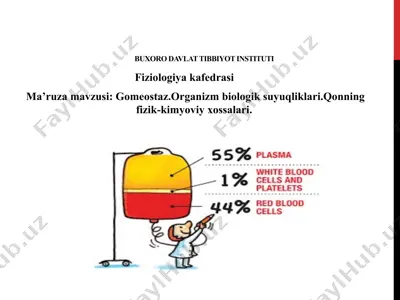 buxoro davlat tibbiyot instituti - fiziologiya kafedrasi ma'ruzasi — PPTX